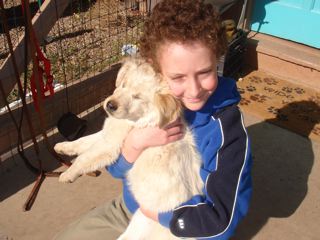 Puppy