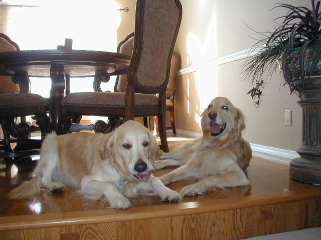 Lucy and Luke
