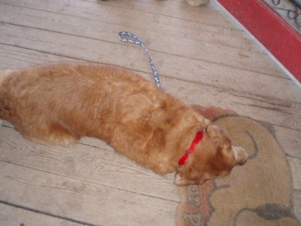 sleeping