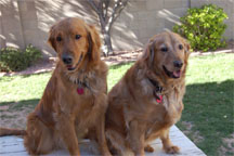 Bentley and Oakley