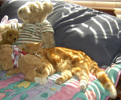 afternoon lounging
